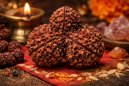 Trijuti Rudraksha