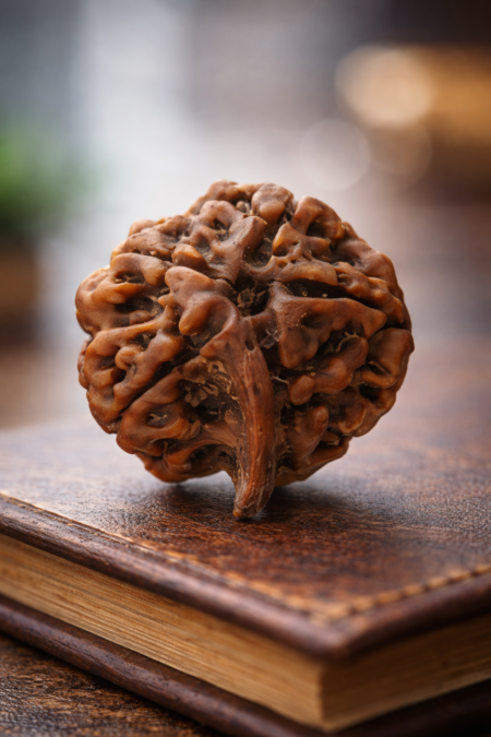 Ganesh Rudraksha
