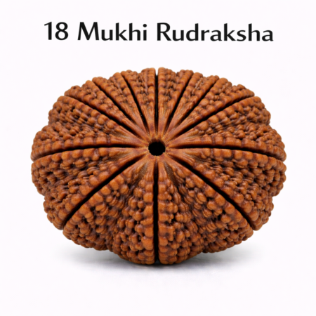18 Mukhi Rudraksha
